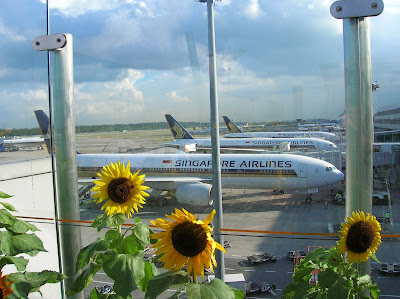 Aeropuerto de Changi,  Aeropuerto de Singapur, Isla de Flores, Isla de Bali, vuelta al mundo, round the world, La vuelta al mundo de Asun y Ricardo