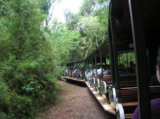Tren Ecológico de la selva, Cataratas de Iguazú, Argentina, vuelta al mundo, round the world, La vuelta al mundo de Asun y Ricardo